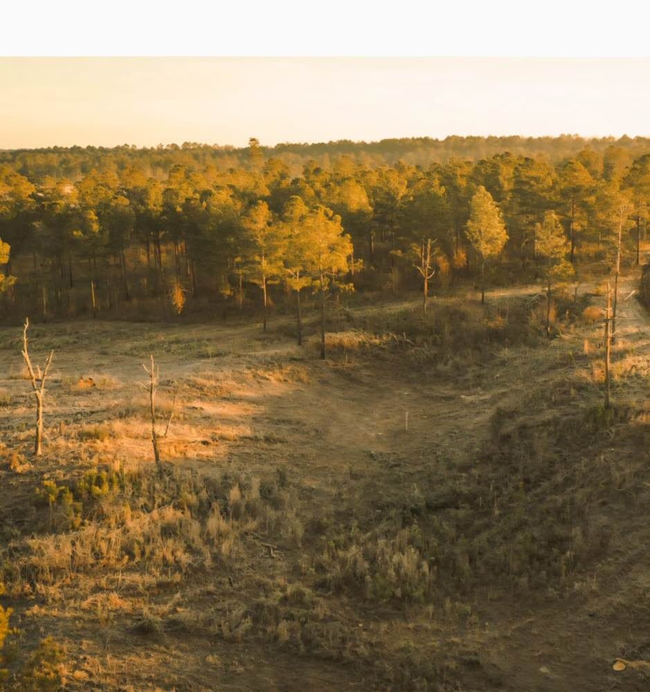Aerial view of New Holland Golf Club land in Aiken County, South Carolina