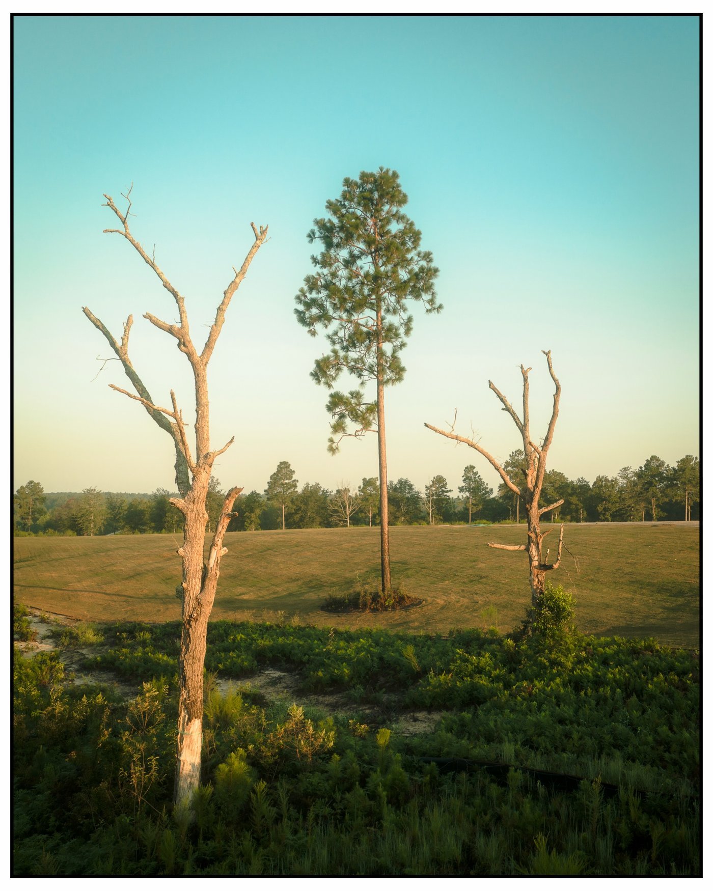 The dogleg left 10th hole at New Holland Golf Club